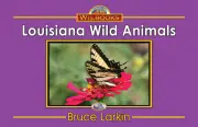 Louisiana Wild Animals