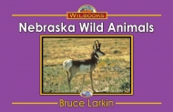 Nebraska Wild Animals