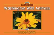 Washington Wild Animals
