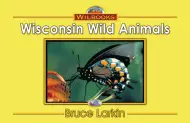 Wisconsin Wild Animals
