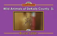 Wild Animals of DeKalb County, IL