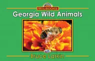 Georgia Wild Animals