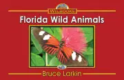 Florida Wild Animals