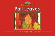 Fall Leaves