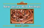 New Jersey Wild Animals