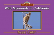 Wild Mammals in California