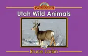 Utah Wild Animals