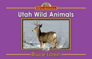 Utah Wild Animals