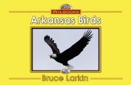 Arkansas Birds