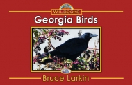 Georgia Birds