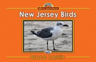 New Jersey Birds