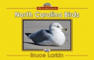 North Carolina Birds