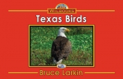 Texas Birds