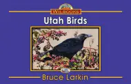 Utah Birds
