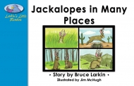 Jackalopes in Many Places