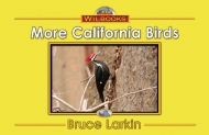 More California Birds