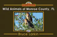 Wild Animals of Monroe County, FL