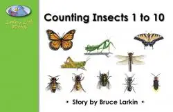 Counting Insects 1 to 10