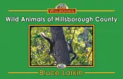 Wild Animals of Hillsborough County