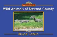 Wild Animals of Brevard County