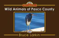 Wild Animals of Pasco County
