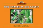 Wild Animals of Lake County