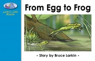 From Egg to Frog