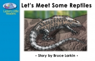 Let's Meet Some Reptiles