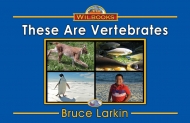 These Are Vertebrates