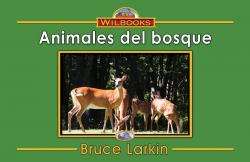 Animales del bosque