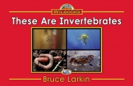 These Are Invertebrates