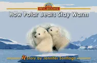 How Polar Bears Stay Warm