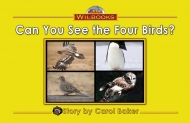 Can You See the Four Birds?