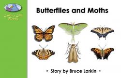 Butterflies and Moths