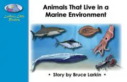 Animals That Live in a Marine Environment