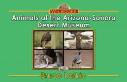 Animals at the Arizona-Sonora Desert Museum