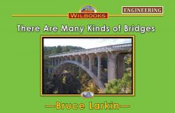 There Are Many Kinds of Bridges