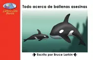 Todo acerca de las ballenas asesinas