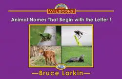 Animal Names That Begin with the Letter f