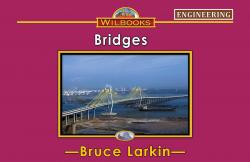 Bridges