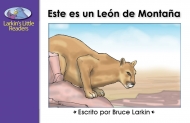 Este en un león de montaña