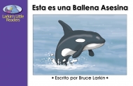 Esta es una ballena asesina