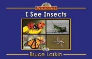 I See Insects