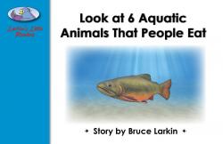 Look at 6 Aquatic Animals That People Eat