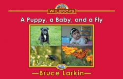 A Puppy, a Baby, and a Fly
