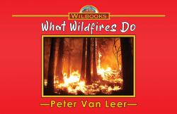 What Wildfires Do