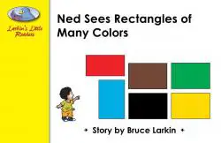 Ned Sees Rectangles of Many Colors