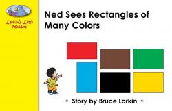 Ned Sees Rectangles of Many Colors