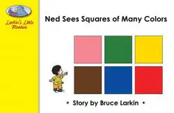 Ned Sees Squares of Many Colors