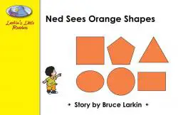 Ned Sees Orange Shapes